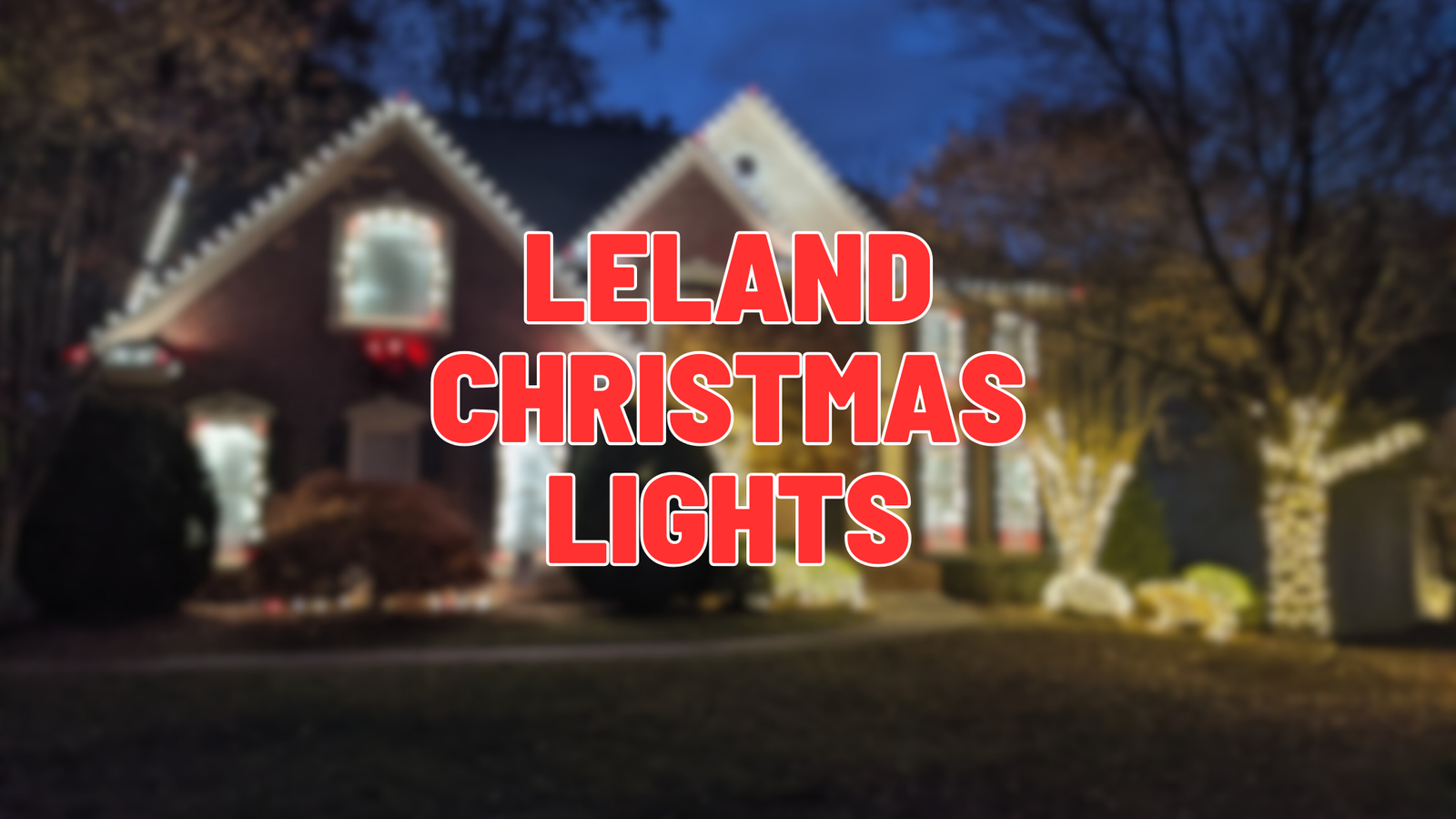 leland christmas lights