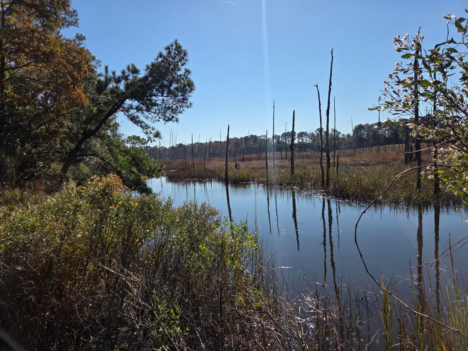 pressure washing wilmington nc cape fear 1