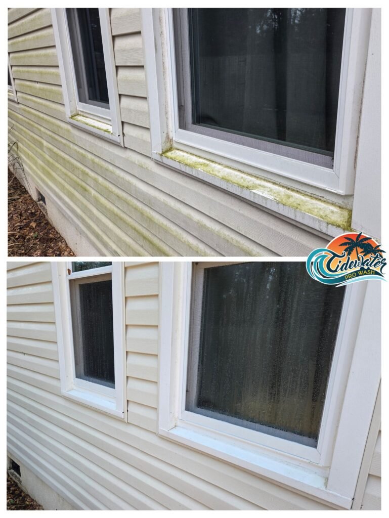 house washing pool deck pressure washing wilmington nc 3