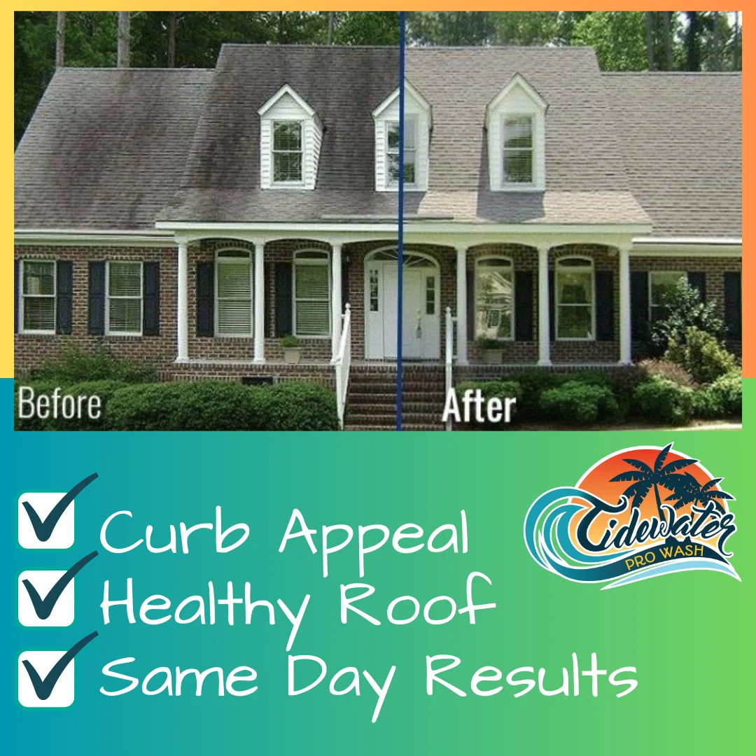roof cleaning near me